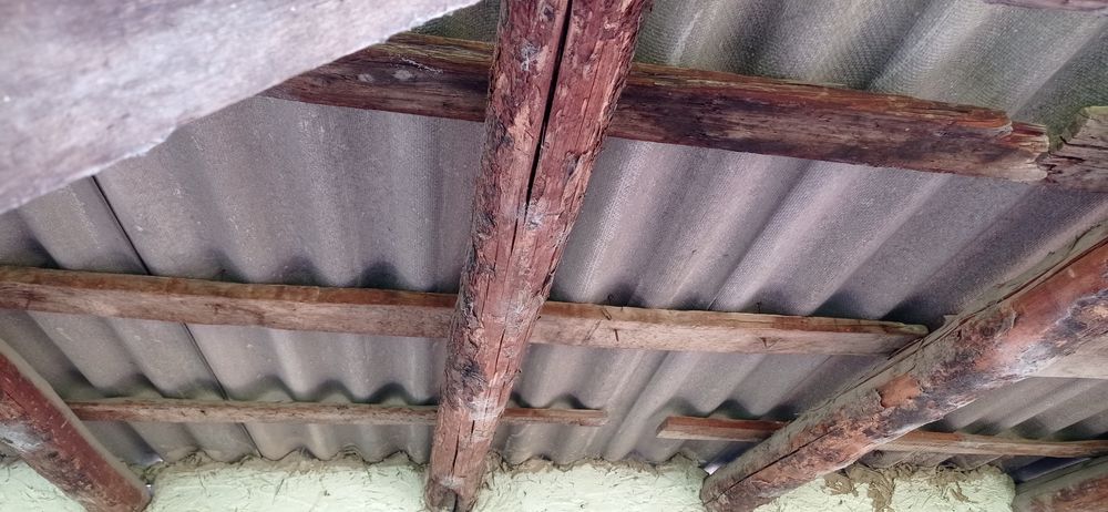 Кругляк жагдайы орташа, коп колемде