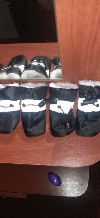 Обувь для животных