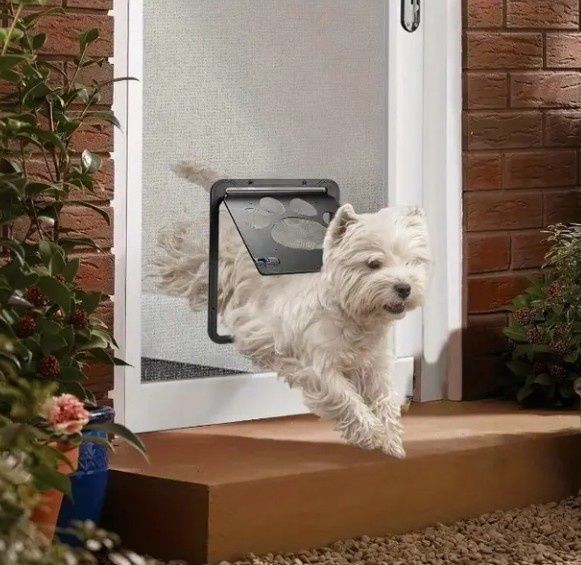 Дверь для домашних животных.