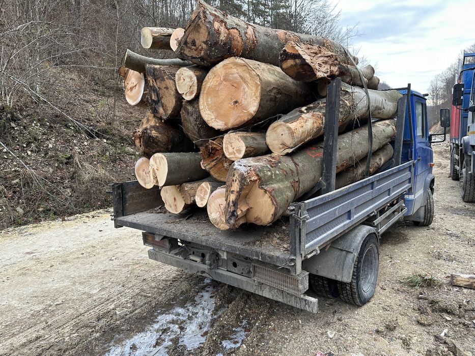 Lemn de foc fag la 3 metri      7 steri