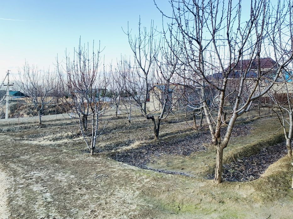Продается земельный участок площадью 8 соток [800 м²)