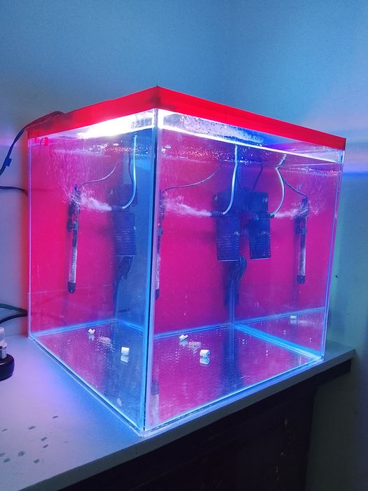 Yangi akvarium sotiladi