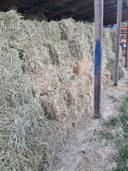 Vând baloți de fân de grădină si baloți de ovaz