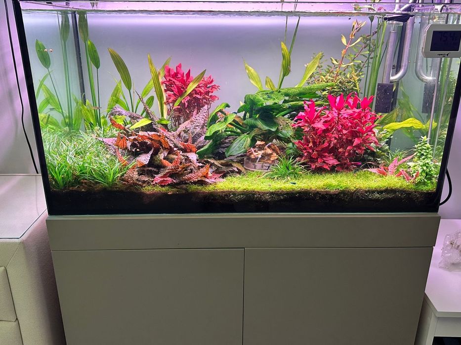 Аквариум на 180 литров