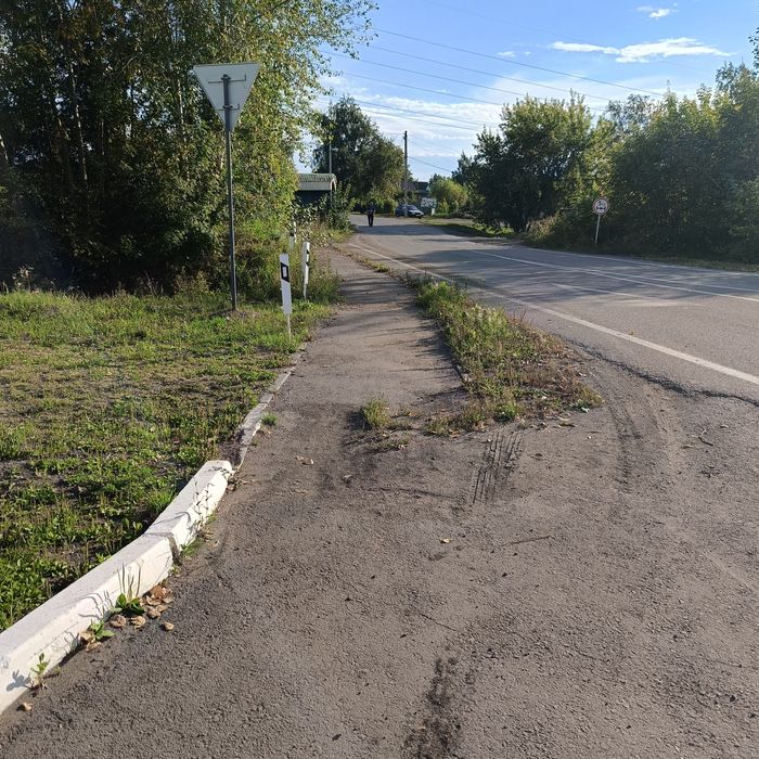 Продам дачу, Ромашка.