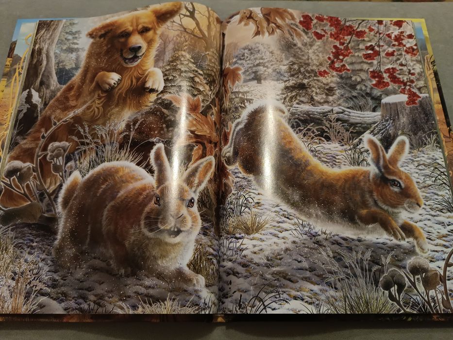 Книги интересные