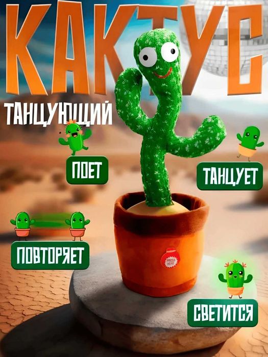 Raqsga Tushadigan Qo‘g‘irchoq Gul / Kaktus Shlyapali / Kaktus