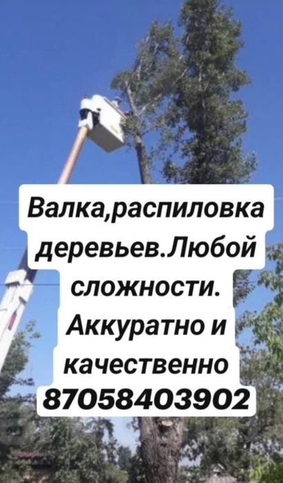 СПИЛ аварийных деревьев