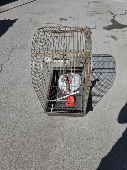 Продам клетку для попугая б/у