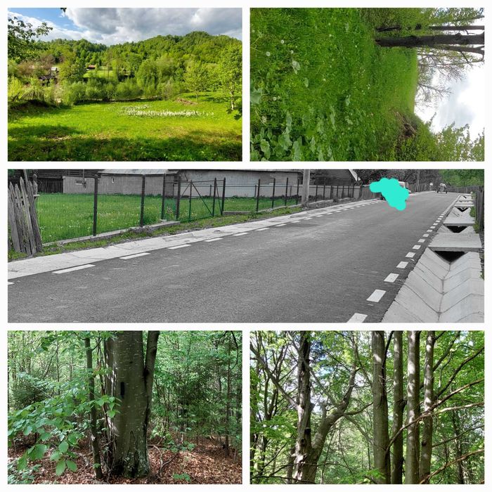 Zonă de munte. Teren de vanzare+căsuță +pădure