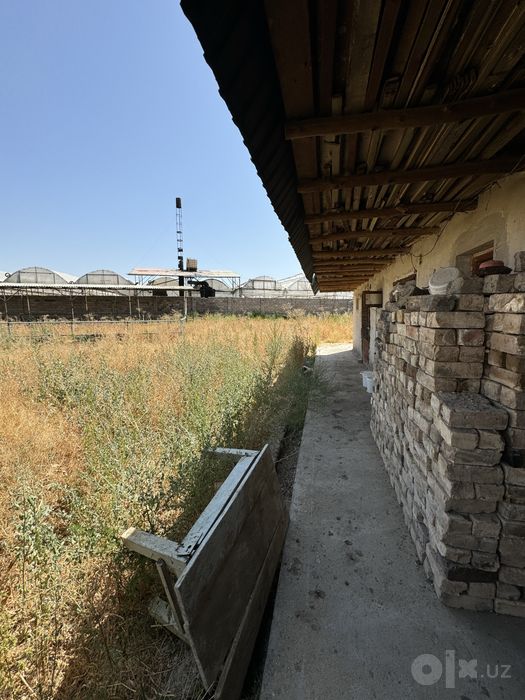 Кибрай тумани Унгкургон махалласи аренда