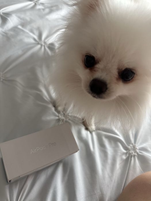 Apple Airpods Pro (2nd generation)