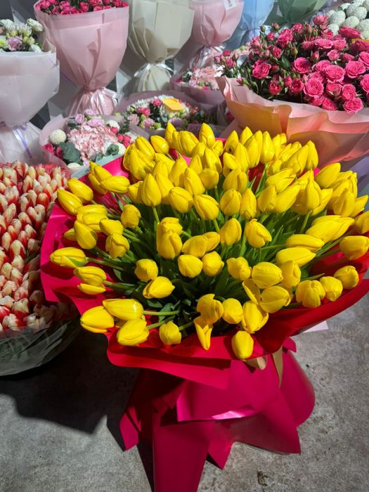 Тюльпаны с теплицы голландский сорт