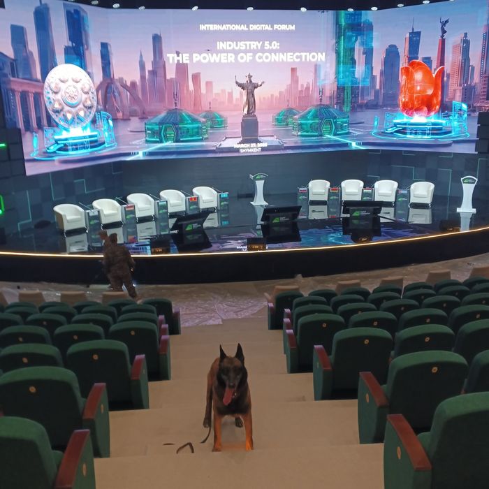 Вяска белгейский овчарка Малинуа