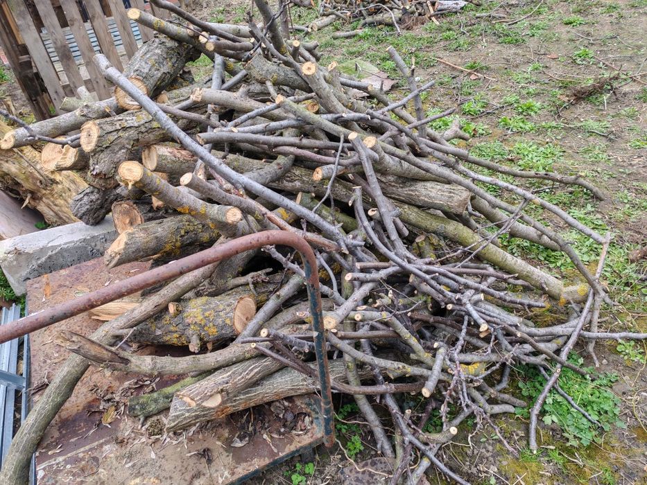 Vând trunchi de nuc