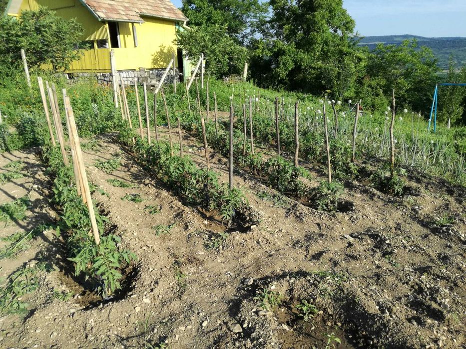 Продава се Къща в Търговище, Вилна зона - 40 кв.м за 587 €/кв.м - Снимка #1