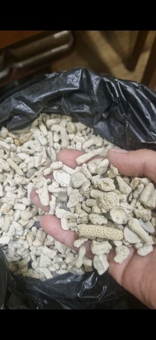 Продам битый коралл для аквариума.