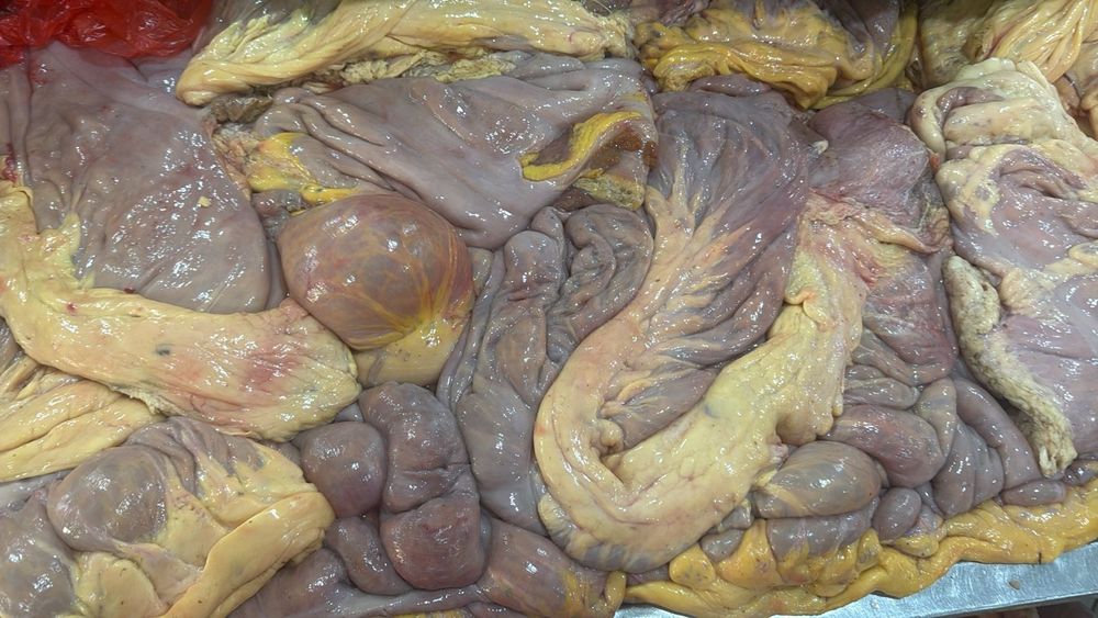 Трибуха конина свежые