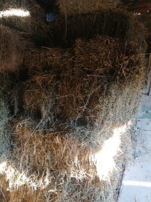 Baloți de vânzare