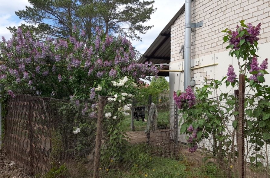 Продам 4 комн.дом (ИЖС)