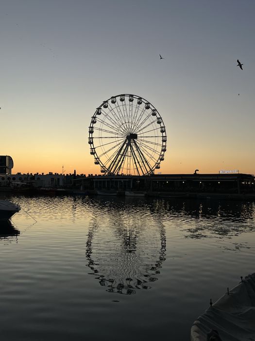 Meditații bacalaureat Logică