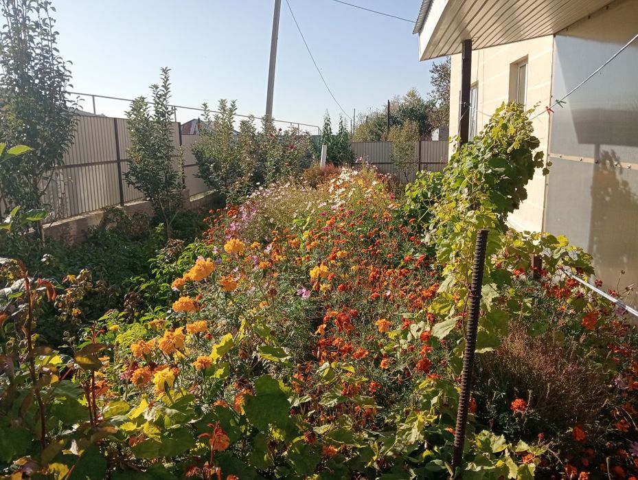 Продам шикарный дом