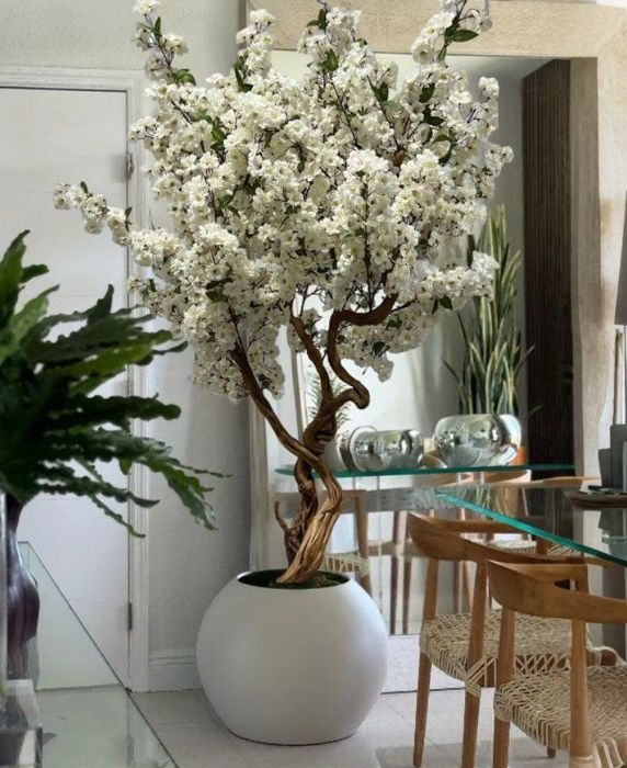 Декоративные растения, искусственные цветы и деревья.