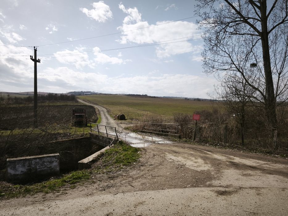 Taren de vânzare în Firminiș