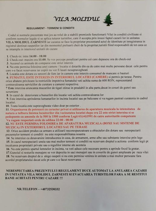 Cazare la munte cabana pensiune vila grup VILA MOLIDUL Zarnesti