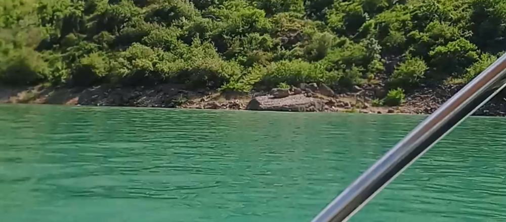 Tapchanlar bor suv boʻyida burchmullaa