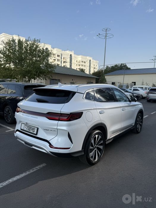 Byd chempion 2025