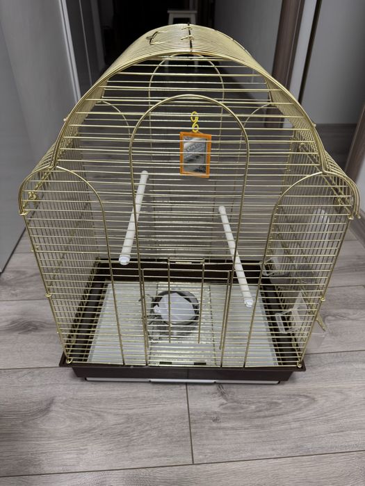 Cusca nimfe/papagali/perusi