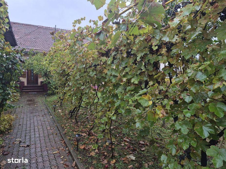 Proprietar - Casa de vanzare in Campina langa Scoala de Politie