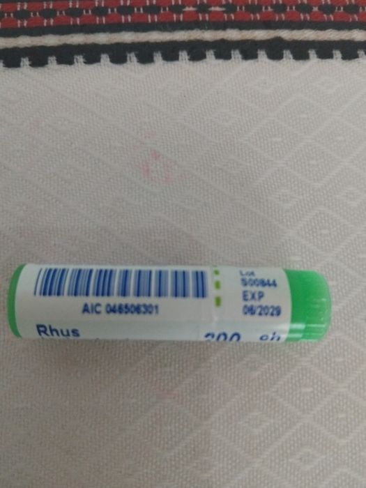 RHUS Toxicodendrom 200 CH