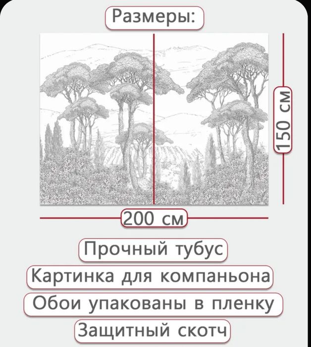 Фотообои на пол стены