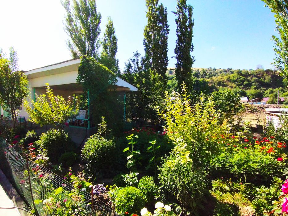 Таш обл,Бостанлыкский район Возле дорого чимгана село Главасай