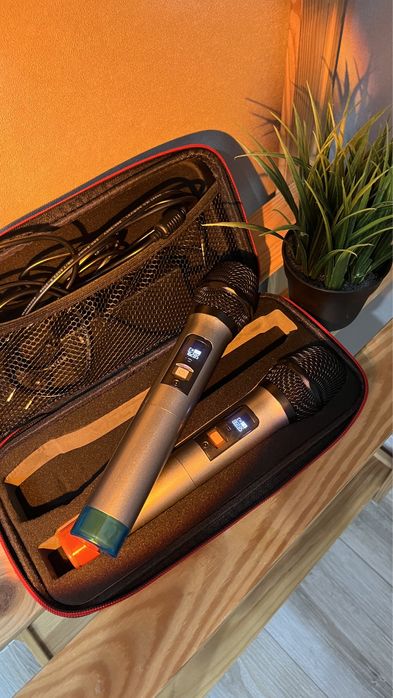 Аренда  караоке-колонки