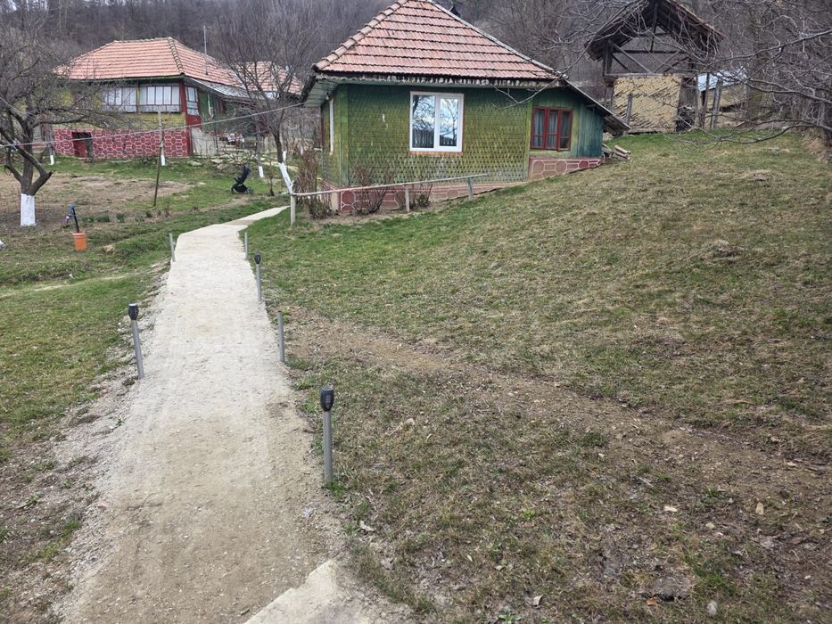 Case plus teren 3750m2
