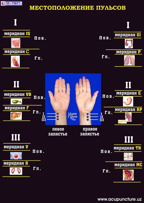 Пульсовая диагностика. Томирдан ташҳис.