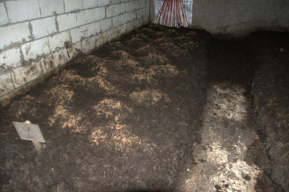 Биогумус,100% натуральное удобрение в