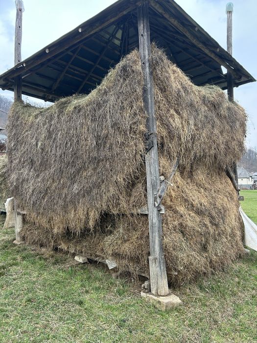 Vând o jumate de șopru de Otavă