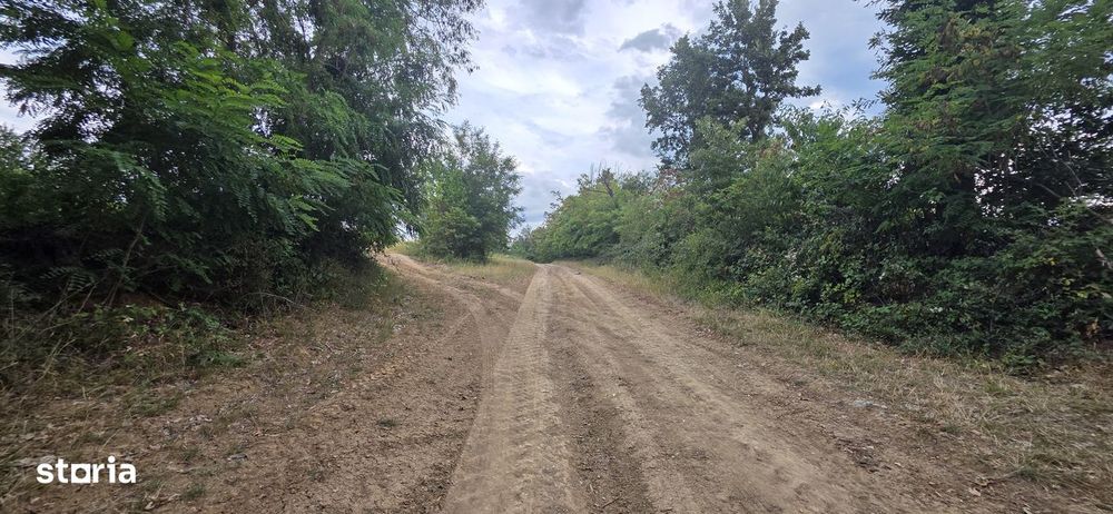 Teren Extravilan 9.528mp/ Vârciorog -Bihor / 30 km de Oradea