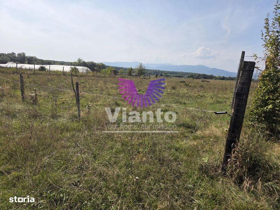 Teren extravilan 1500 mp Selimbar-langa troita