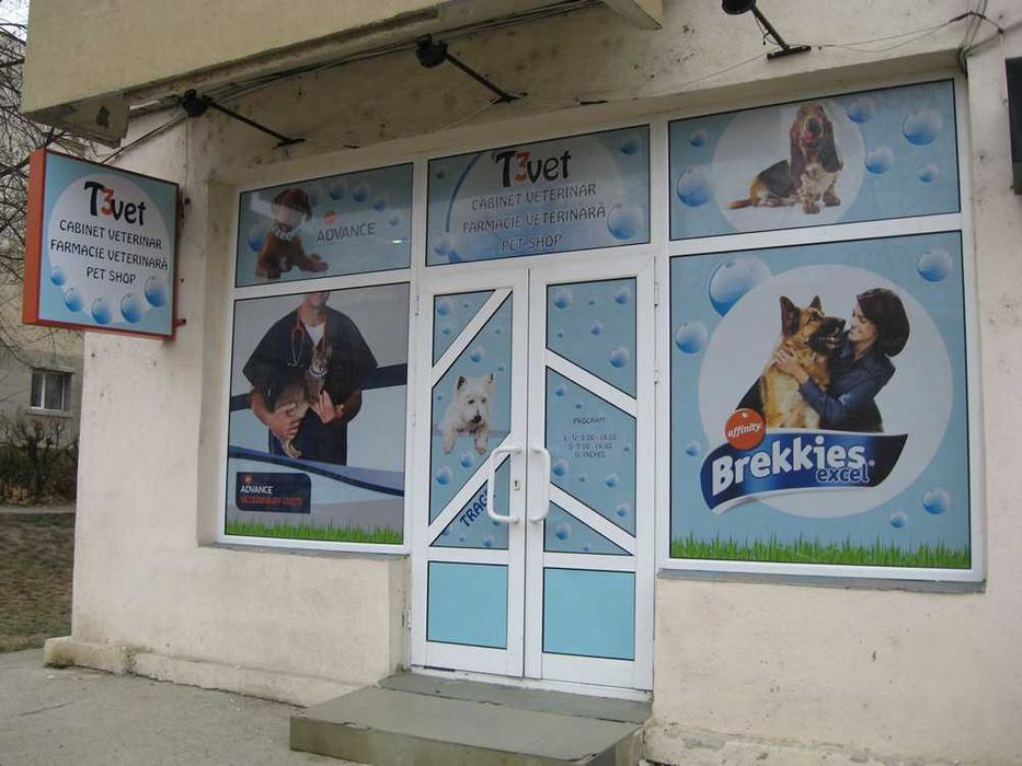 Autocolante magazine,grafica,sablare cu texte/logo,bannere,colantari