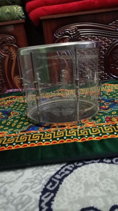 Dovul sotiladi srochna