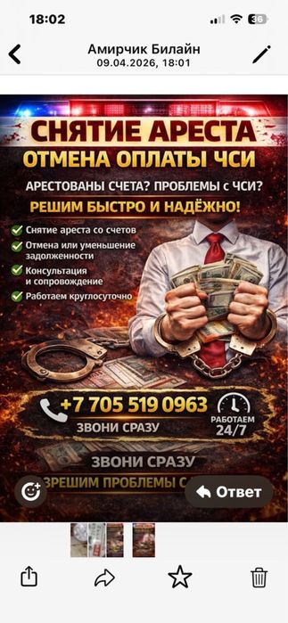 Снятие арестов услуги чси