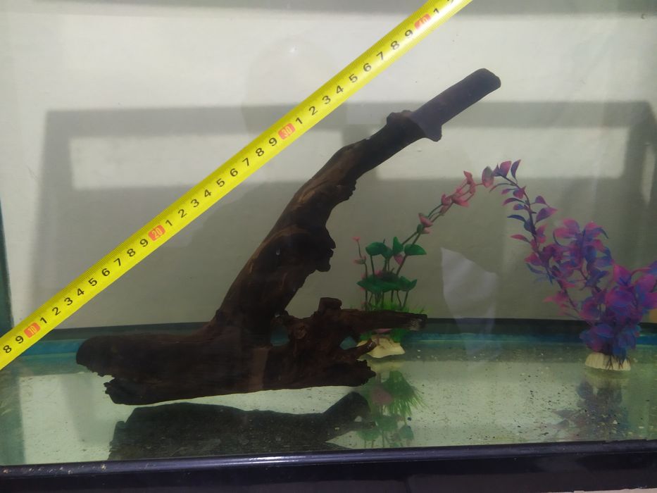 Коряга для аквариума.