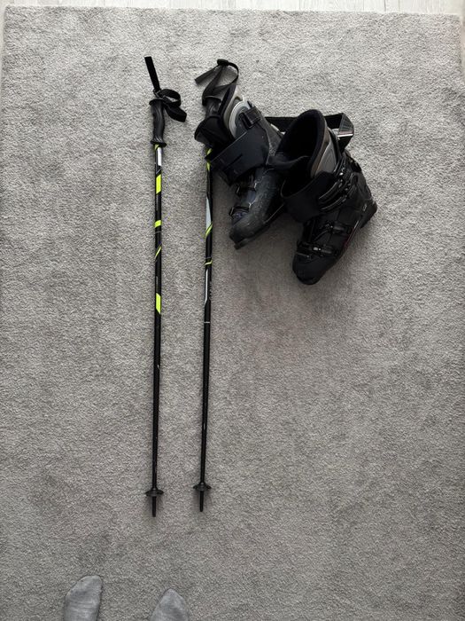 Schiuri SALOMON & clapari & bete