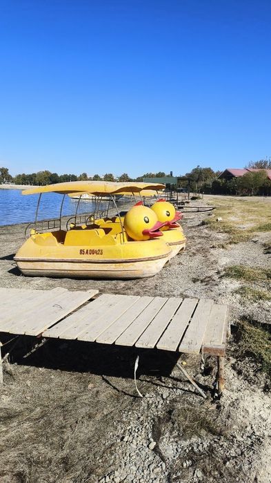 Катамаран сотилади бизнес учун