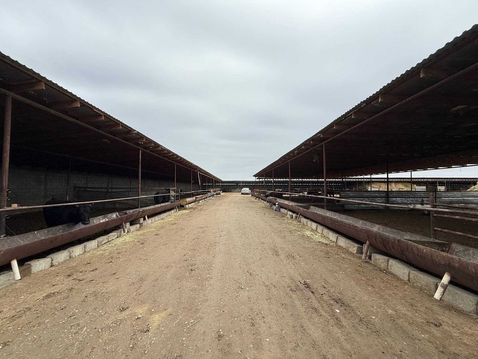 TAYYOR 4 GEKTARLI JOY Sotiladi #a730